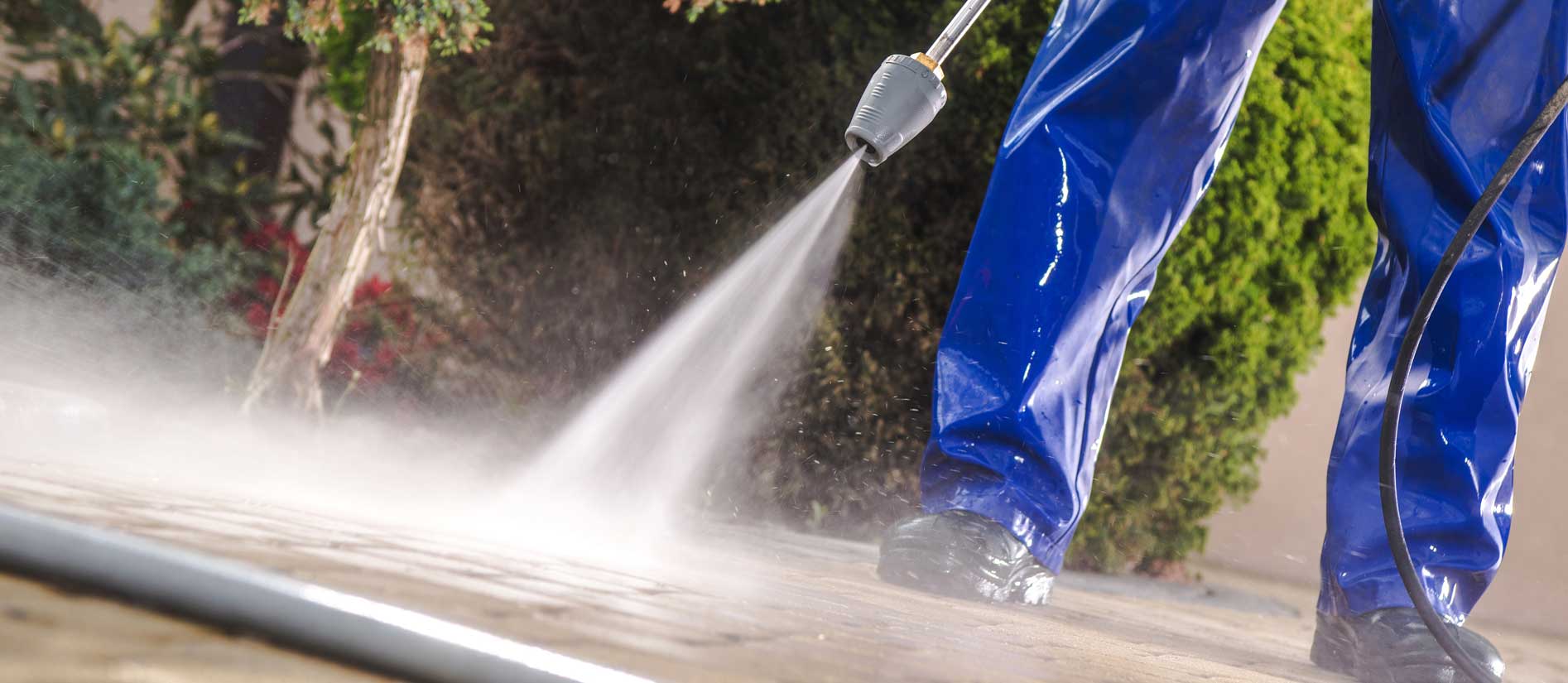 Softwashing Services